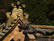  Dragon (Nikko, 7 décembre 2006)