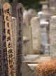  Cimetière de Yanaka (Tokyo, 26 novembre 2006)