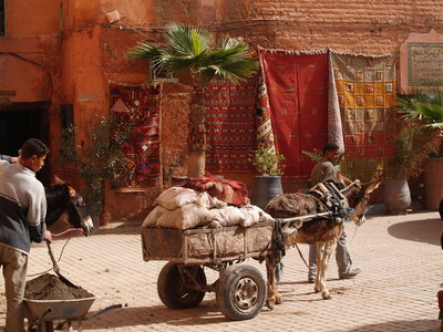  Cariole dans la Médina (19 février 2008)