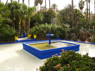  Fontaine du Jardin de Majorelle (19 février 2008)