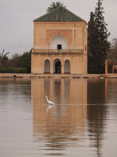  La Ménara (21 février 2008)