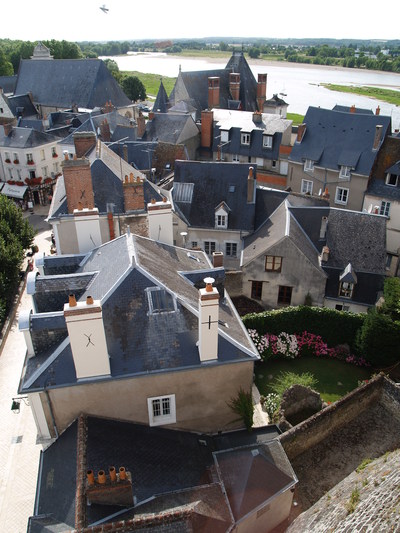  Vue sur les toits d’Amboise devant la Loire, depuis le Château ( 5 juillet 2008)