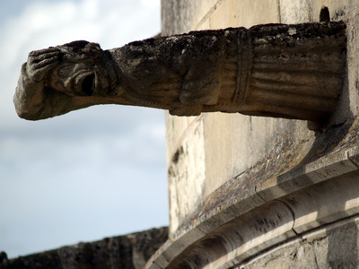  Gargouille du Château d’Amboise ( 5 juillet 2008)
