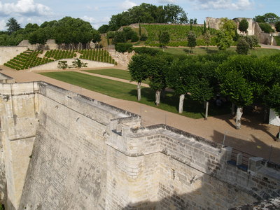  Les jardins du château ( 5 juillet 2008)