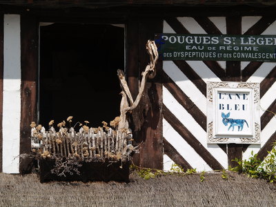  Brocanteur à Beuvron-en-Auge (13 juillet 2008)