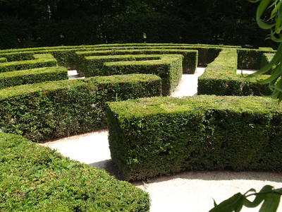  Le labyrinthe de Chenonceau (18 juillet 2008)