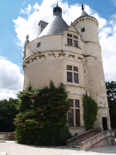  Le Château de Chenonceau (18 juillet 2008)
