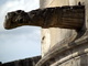  Gargouille du Château d’Amboise ( 5 juillet 2008)