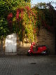  Dans les ruelles de Chelsea (20 septembre 2008)