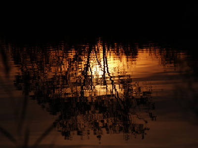  Coucher de soleil aux étangs de Villepey (10 novembre 2008)