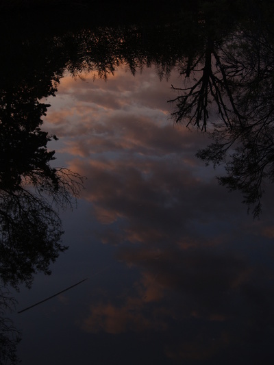  Etangs de Villepey au coucher du soleil (10 novembre 2008)
