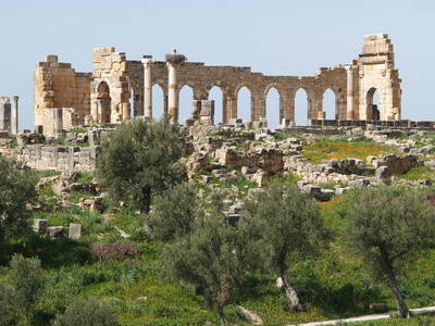  Volubilis (26 février 2009)