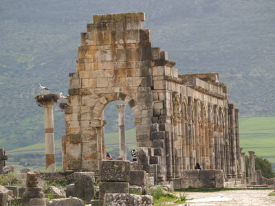  Volubilis (26 février 2009)