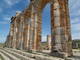  Volubilis (26 février 2009)