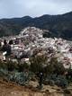  Moulay Idriss (26 février 2009)