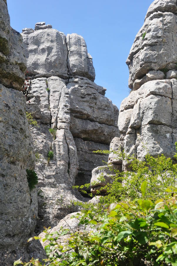  Dans le Torcal d’Antequerra ( 8 mai 2010)