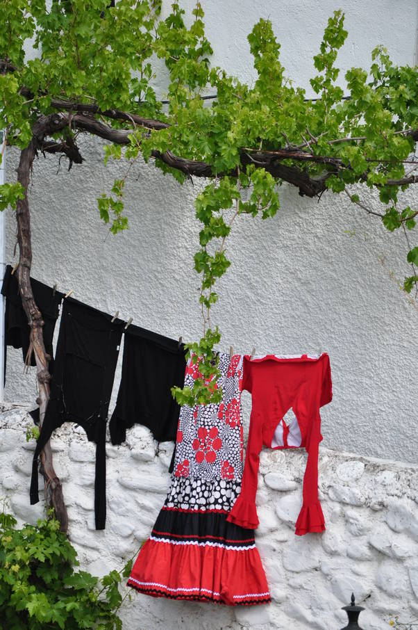  Robe de flamenco (12 mai 2010)