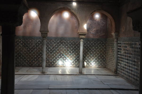  Sous les Palais Nasrides de l’Alhambra (13 mai 2010)