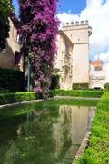  Jardins de l’Alcazar (Séville) (11 mai 2010)