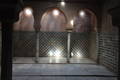  Sous les Palais Nasrides de l’Alhambra (13 mai 2010)