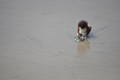  Sur la plage de Cape Coast ( 2 juillet 2010)