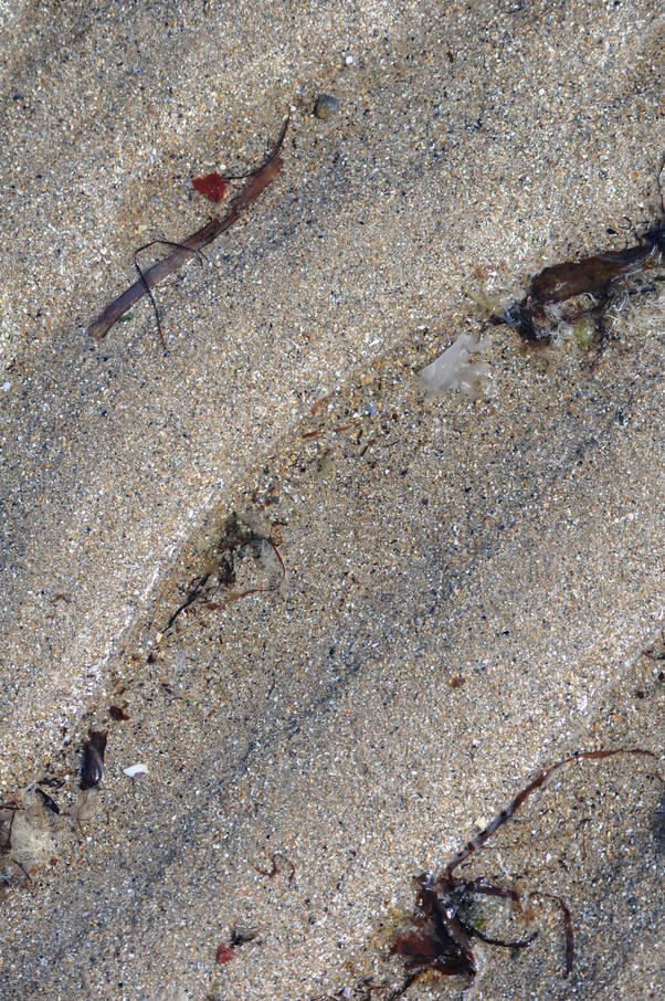  Sable (11 août 2010)