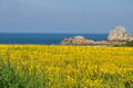  Île de Bréhat (16 août 2010)