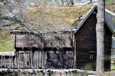  Skansen (27 avril 2012)