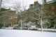 Vue sur Commonwealth Avenue enneigée (02/2001)